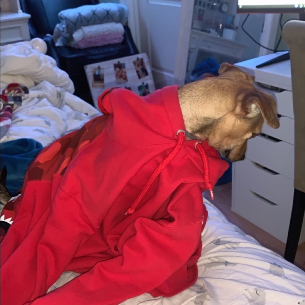 Meet your Posher, Addy